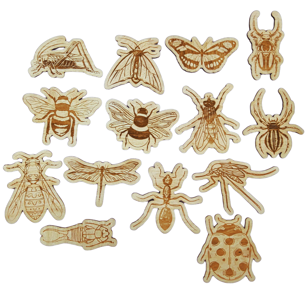 14 insekter – högkvalitativ björk (3 mm, mycket detaljrik)