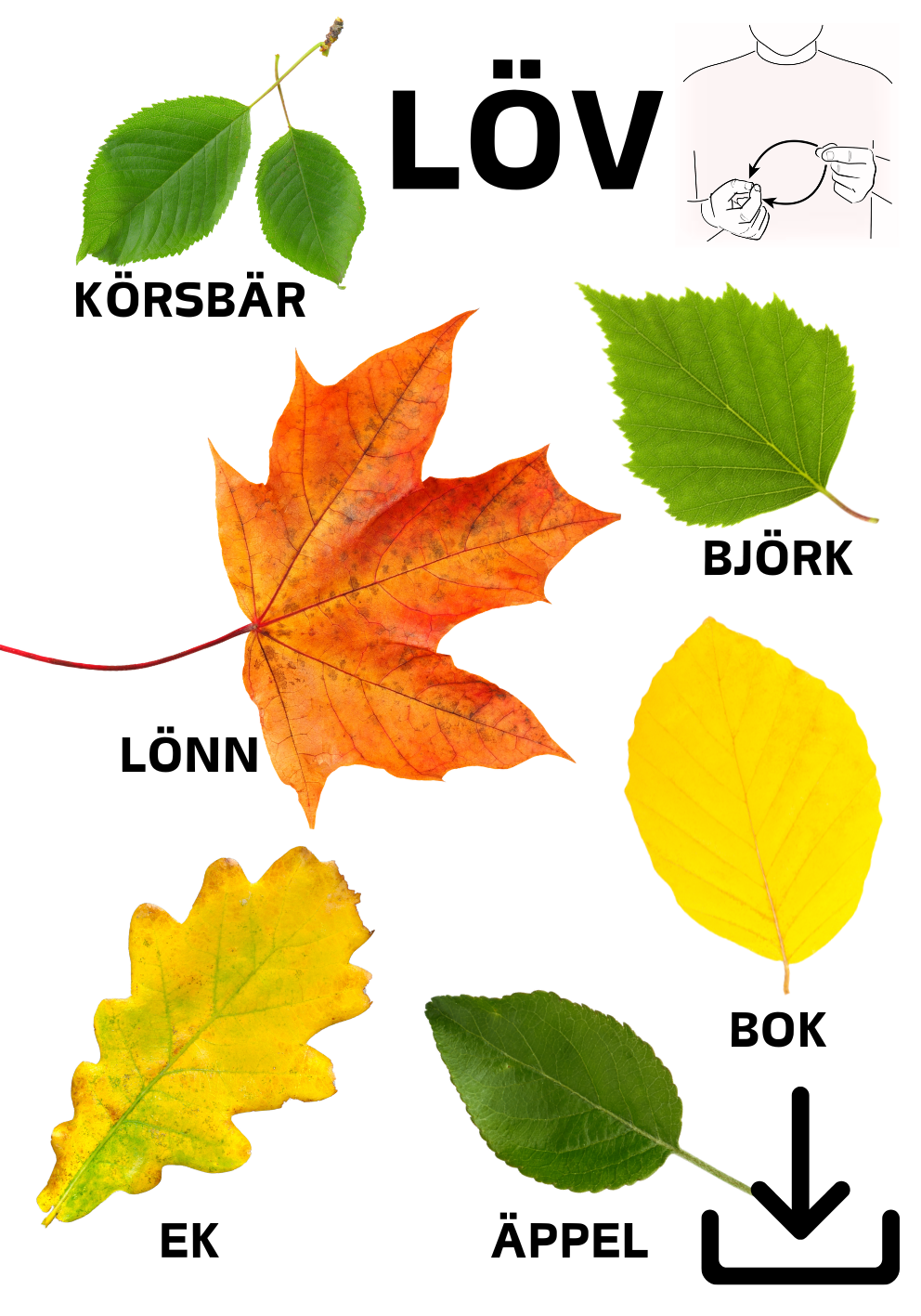Digital fil- Löv 2 på svenska