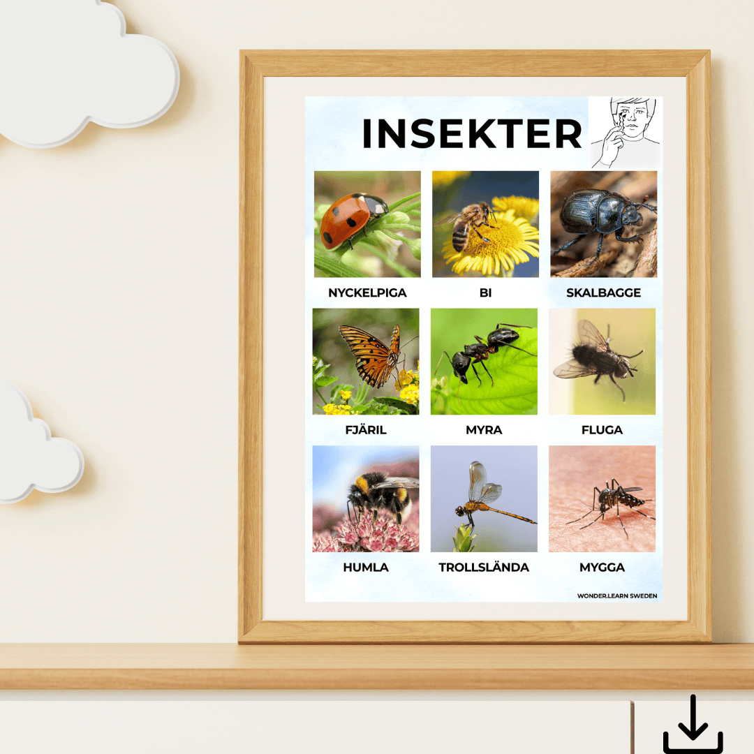 Digital fil- insekter på svenska