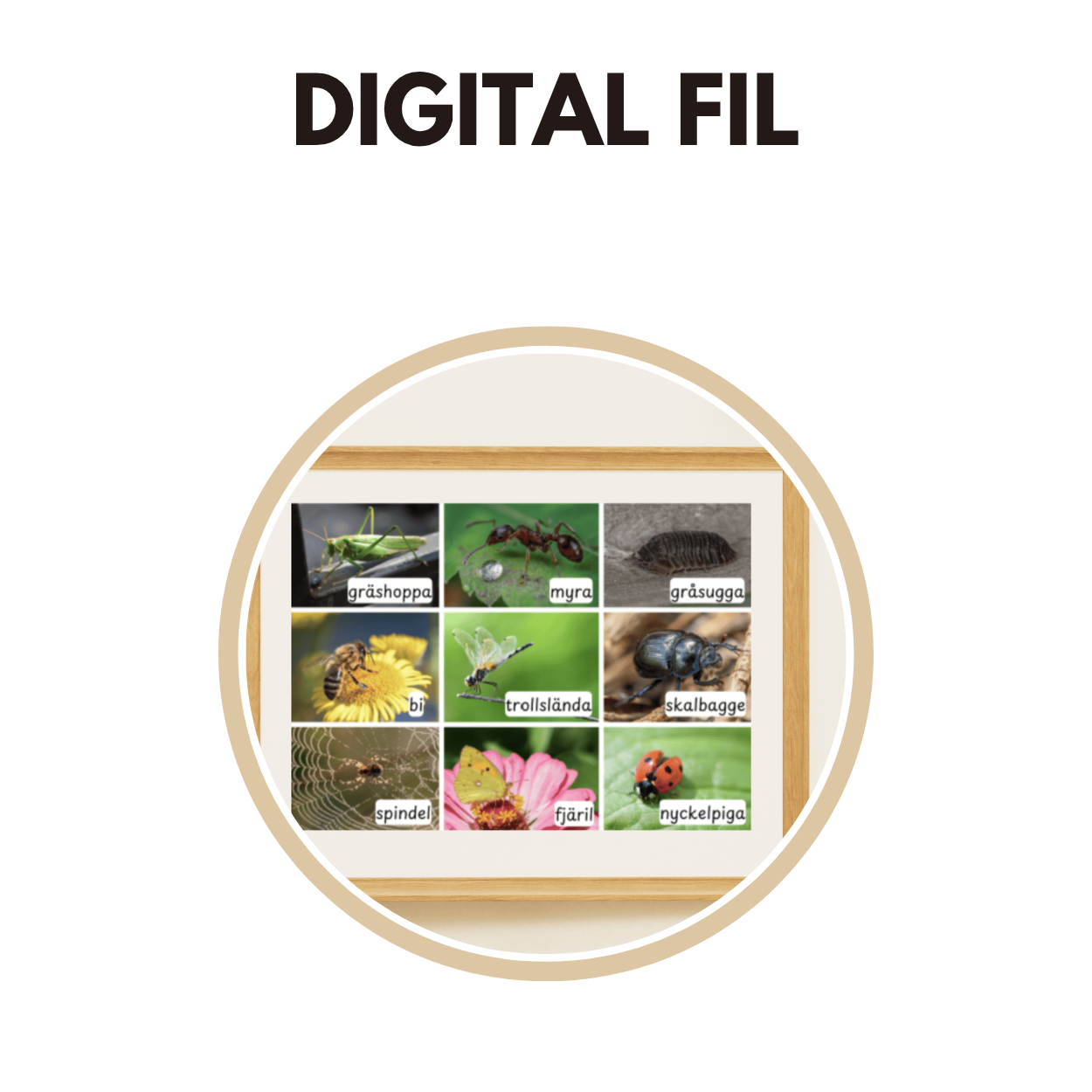 Digitala filer