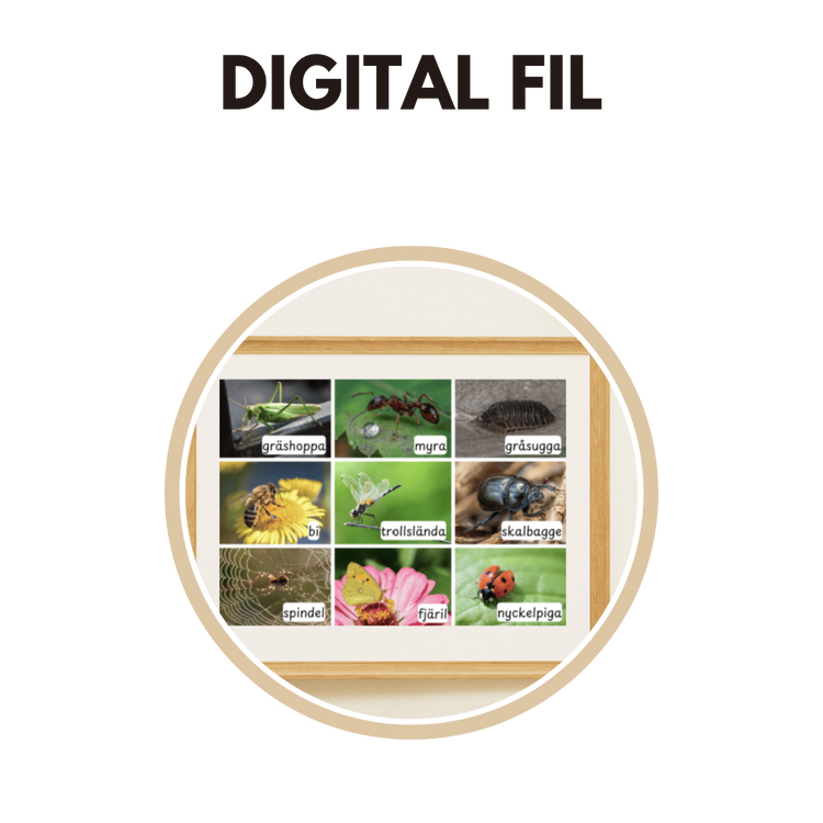 Digitala filer