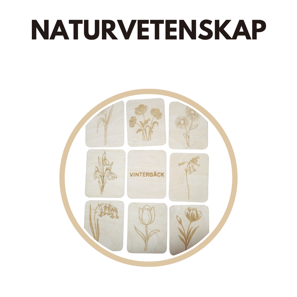Naturvetenskap