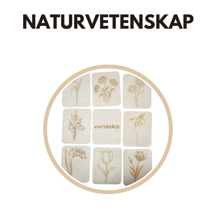 Naturvetenskap
