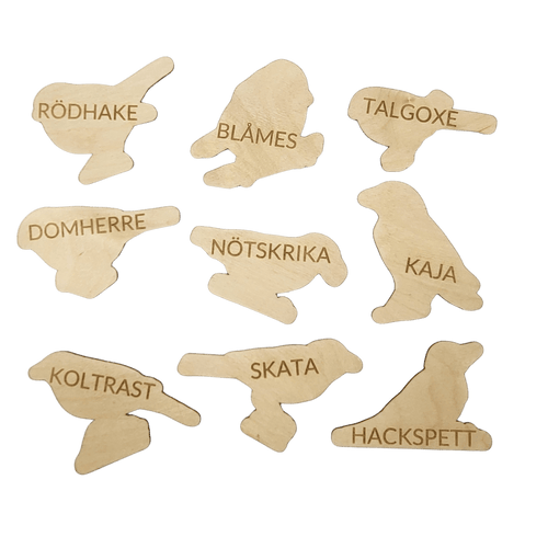 9 fåglar med namn på svenska - Wonder.Learn Sweden