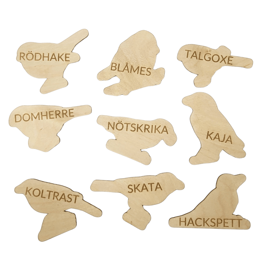 9 birds with name on back