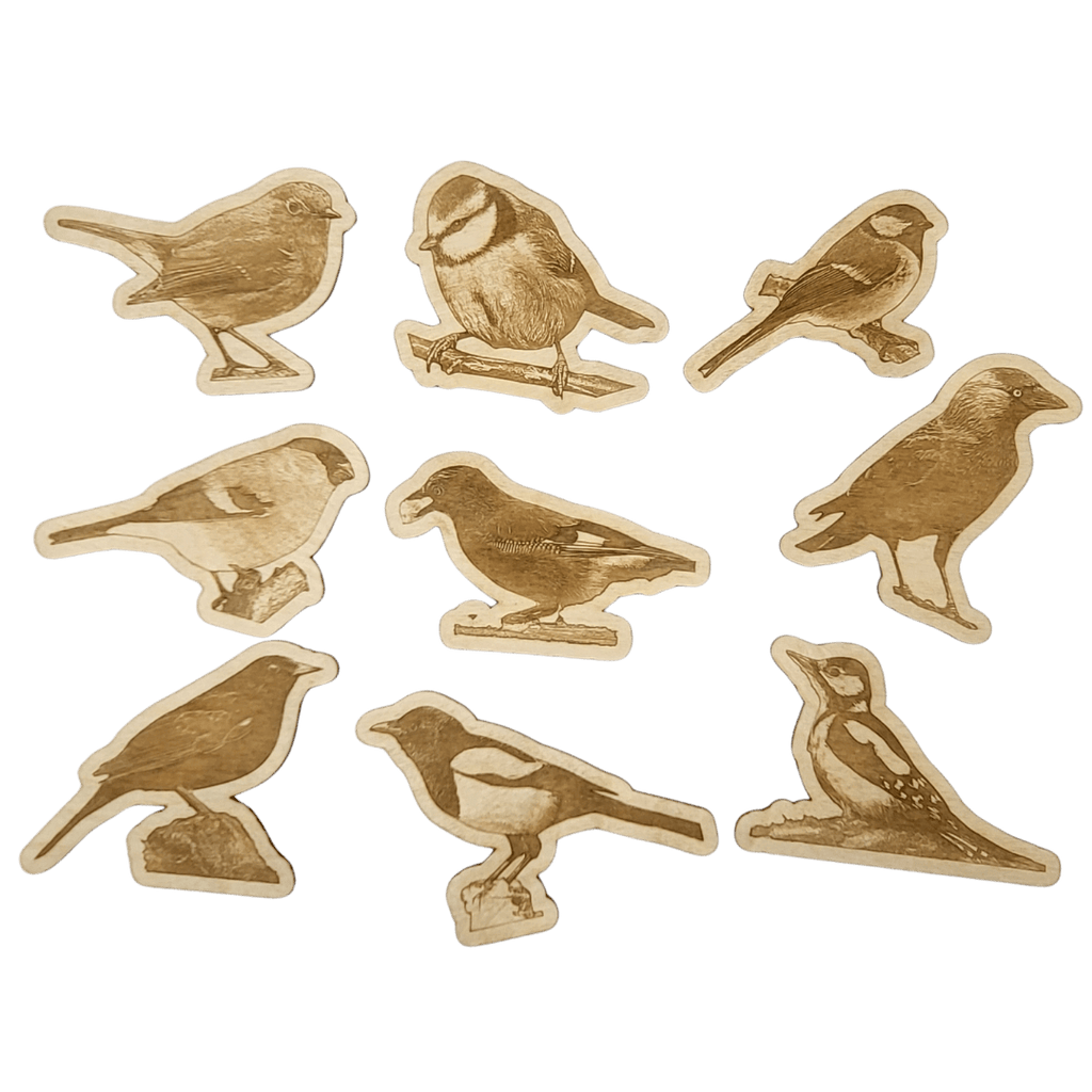 9 birds with name on back