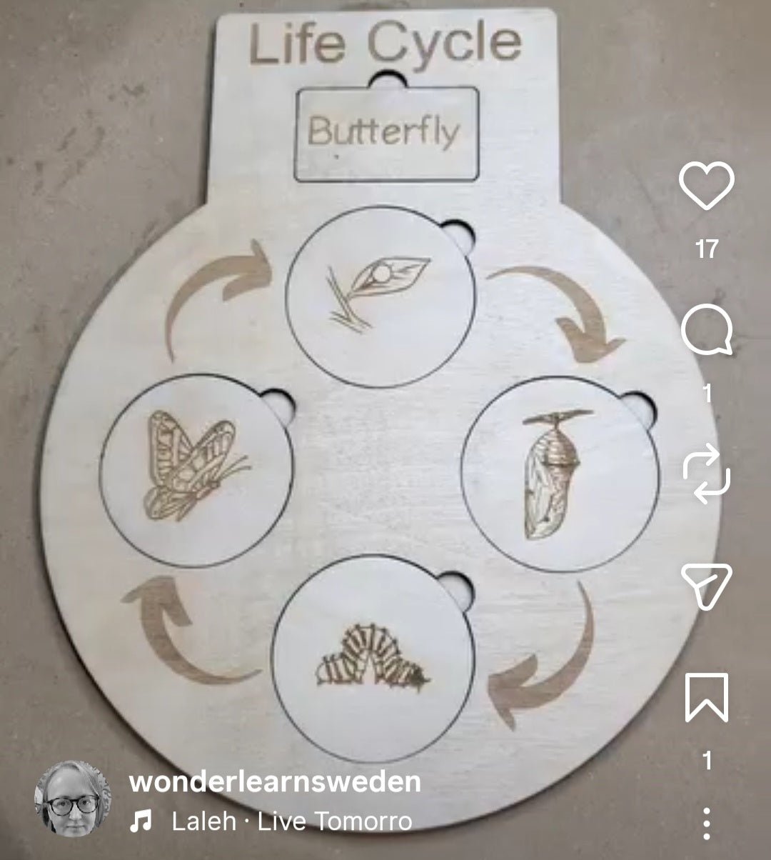 Fjäril livscykel I trä - Wonder.Learn Sweden