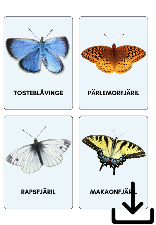 Digital fil- fjärilar svenska