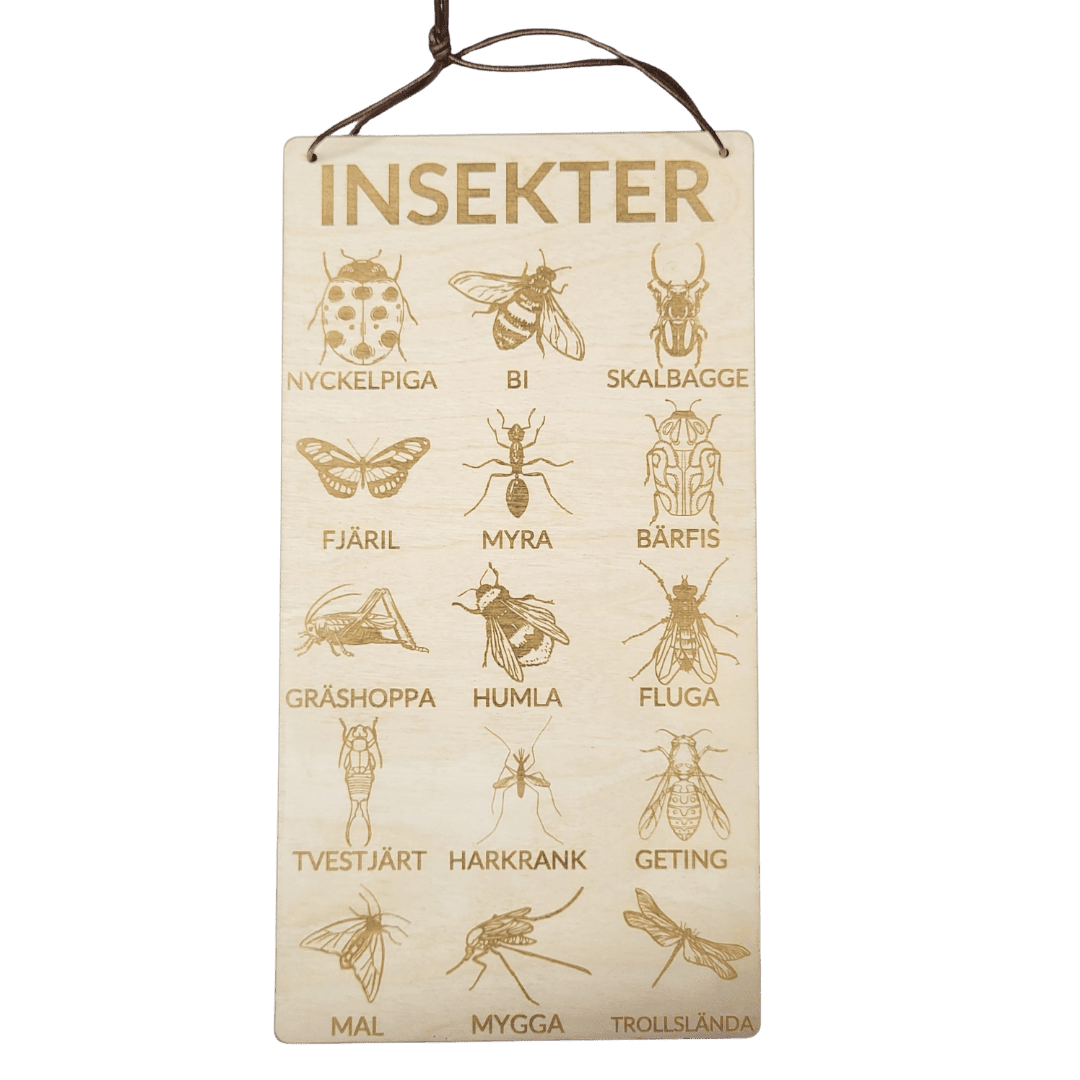 Insekter poster i svenska – 3 mm björk - 15cm - Wonder.Learn Sweden