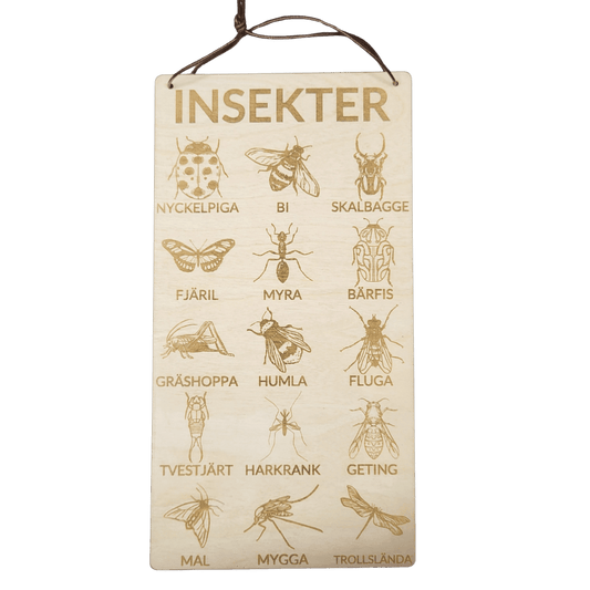Insekter poster i svenska – 3 mm björk - 15cm - Wonder.Learn Sweden