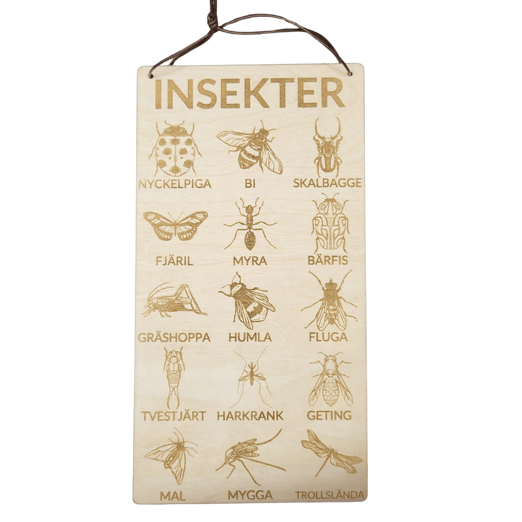 Insects poster in Swedish- 3mm birch- 30 or 15cm cm