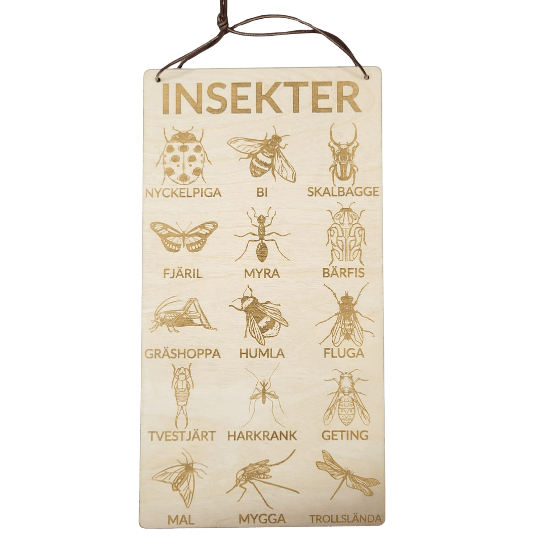 Insects poster in Swedish- 3mm birch- 30 or 15cm cm