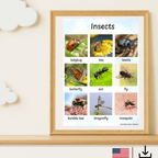 Digital fil- insekter på engelska (US och UK)