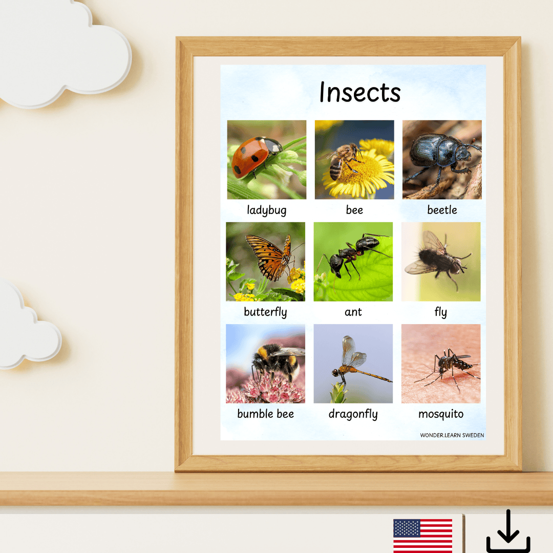 Digital fil- insekter på engelska (US och UK)