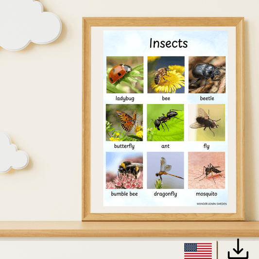 Digital fil- insekter på engelska (US och UK)