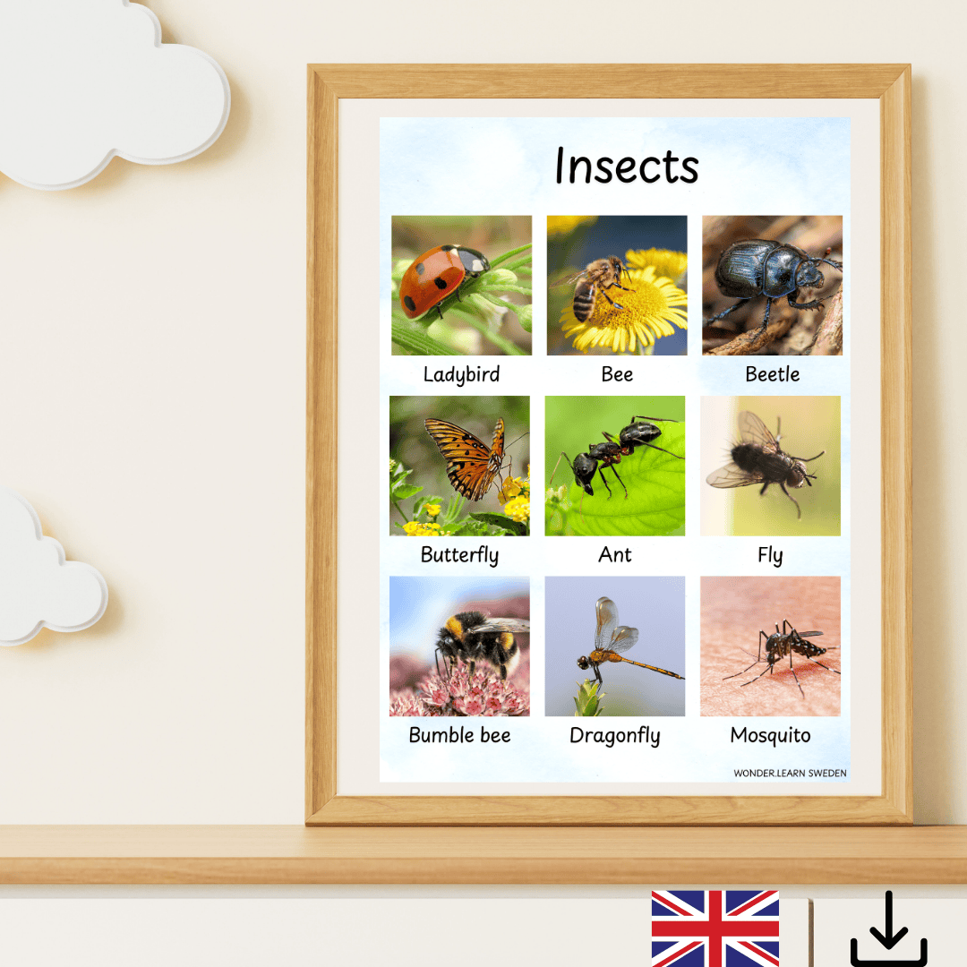 Digital fil- insekter på engelska (US och UK)