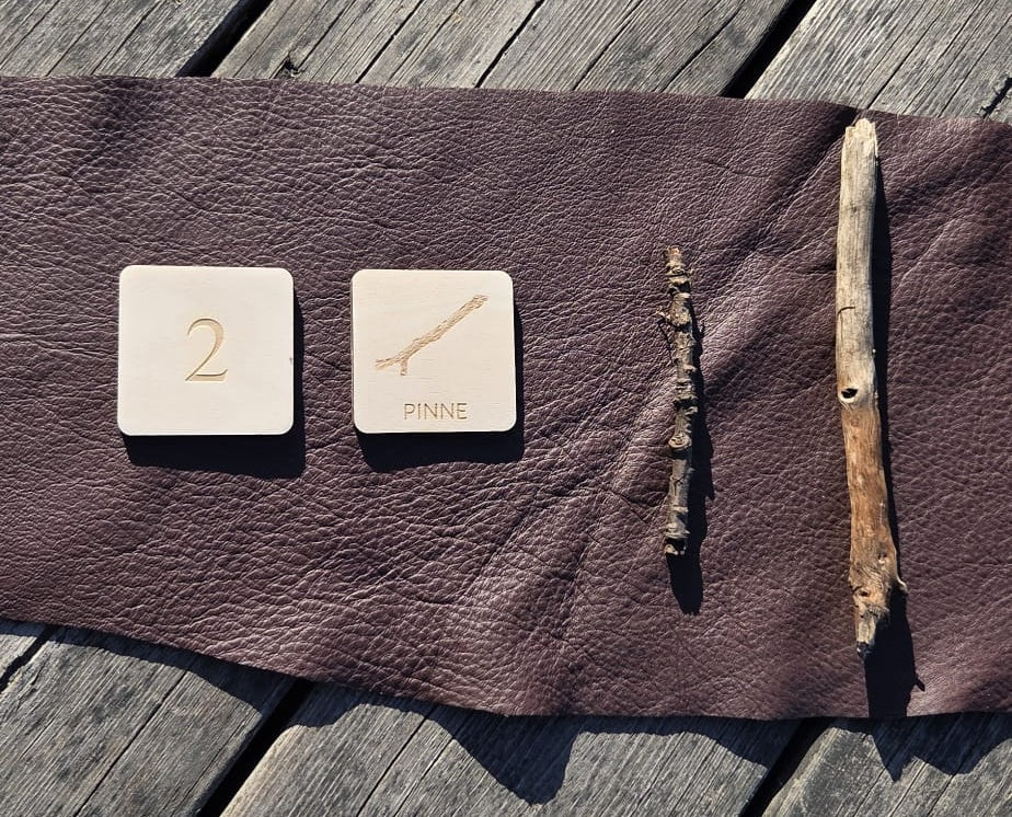 Naturbrickor i björkträ – Räkna, sortera, samla & upptäck naturen - Wonder.Learn Sweden