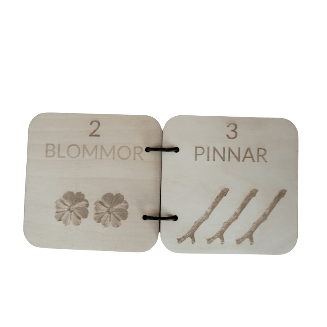 Count 0-5 with help from the nature