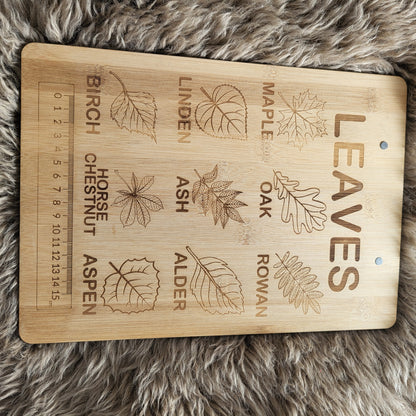 2 clip boards with leaves and mushrooms