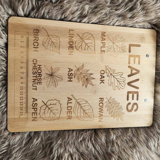 2 clip boards with leaves and mushrooms
