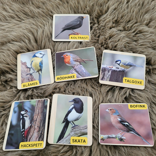 7 bird stickers on wood in Swedish