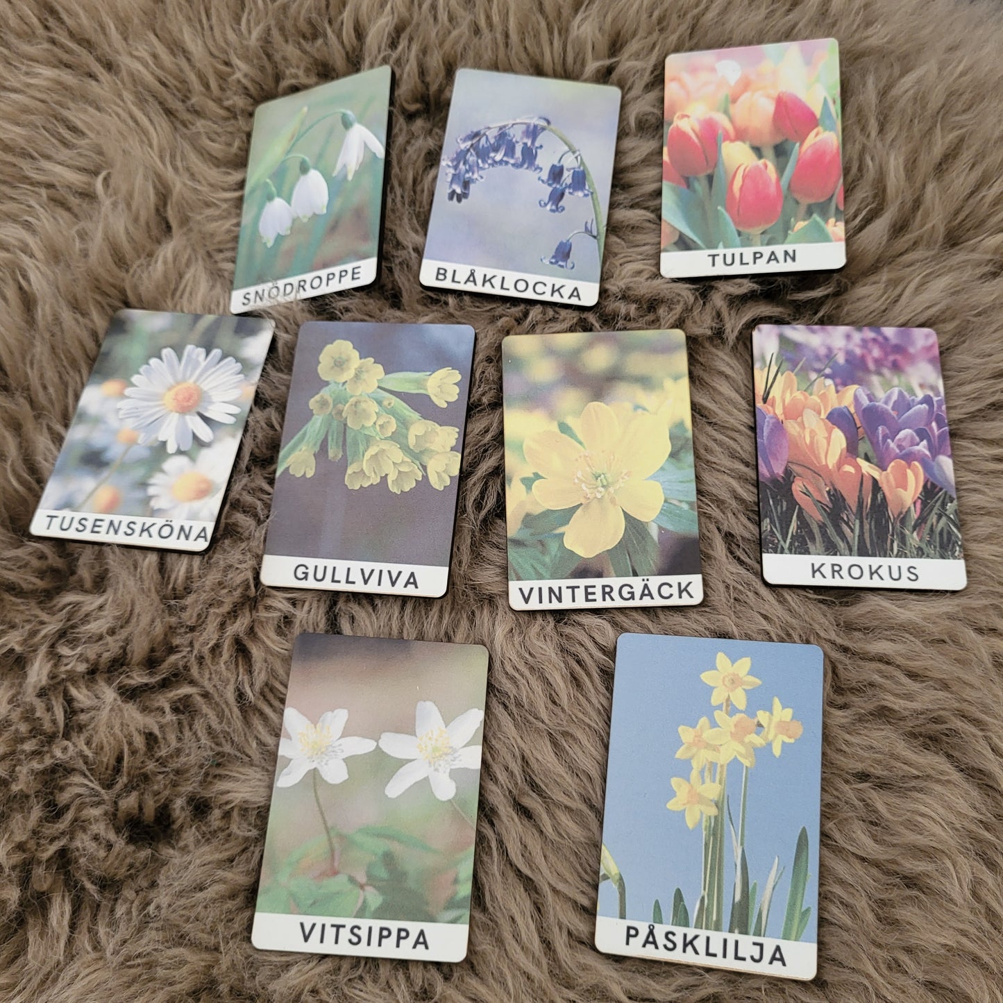 Sublimated spring flowers in Swedish