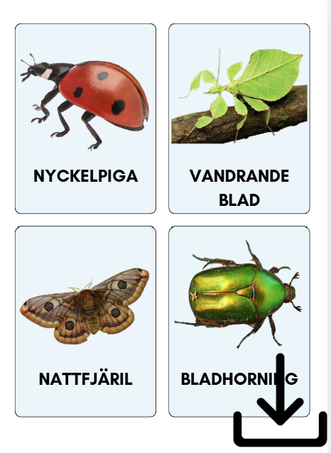 Digital fil- småkryp på svenska