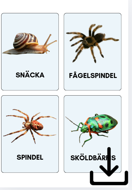 Digital fil- småkryp på svenska