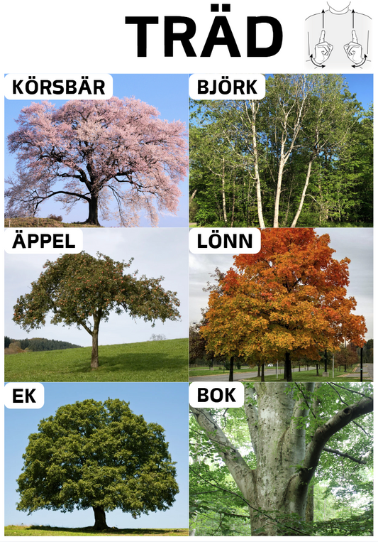 Digital fil- Löv och träd på svenska