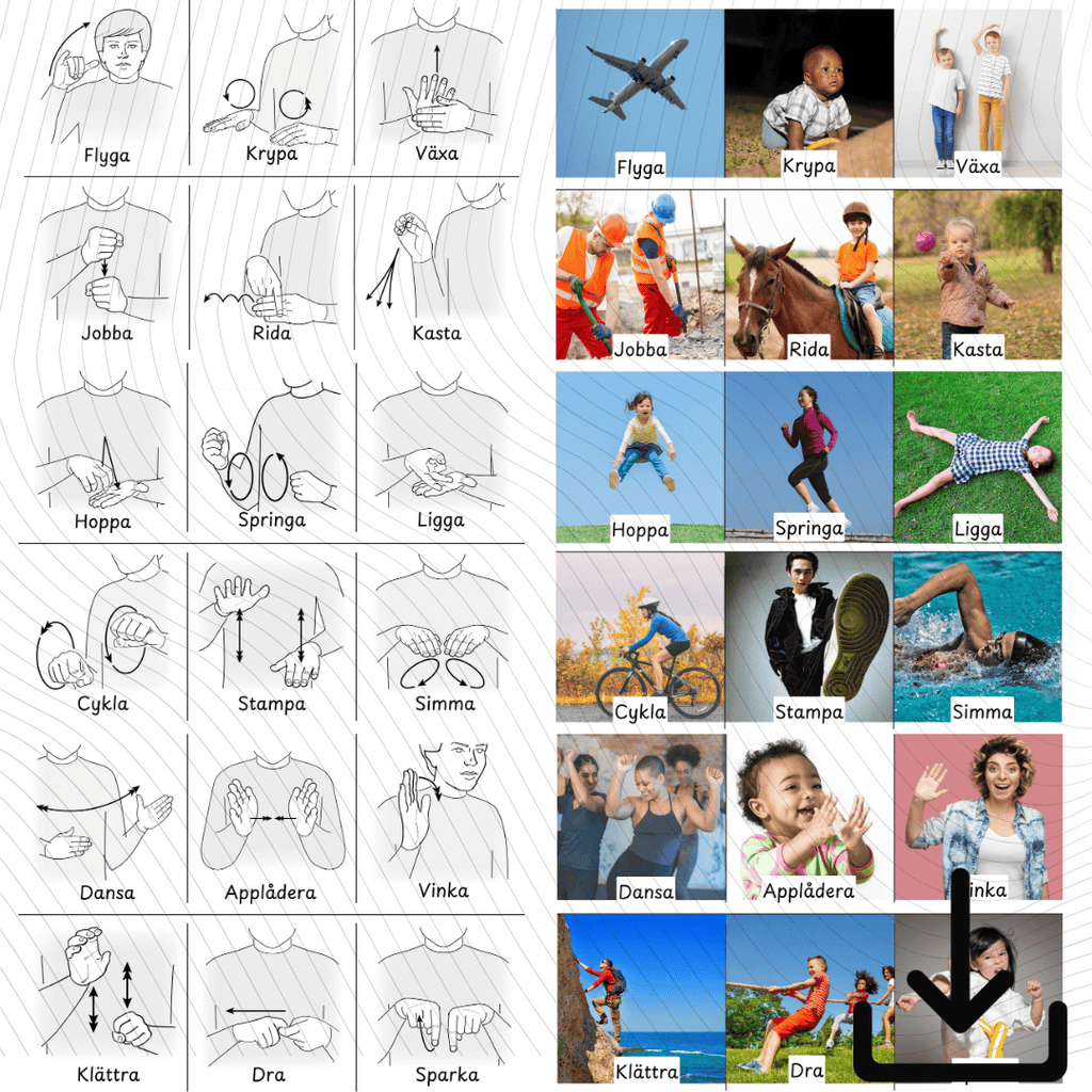 Swedish Verbs Digital Download with Swedish Sign language