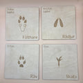 Woodland animal footprints - set 2 - Swedish - Wonder.Learn Sweden
