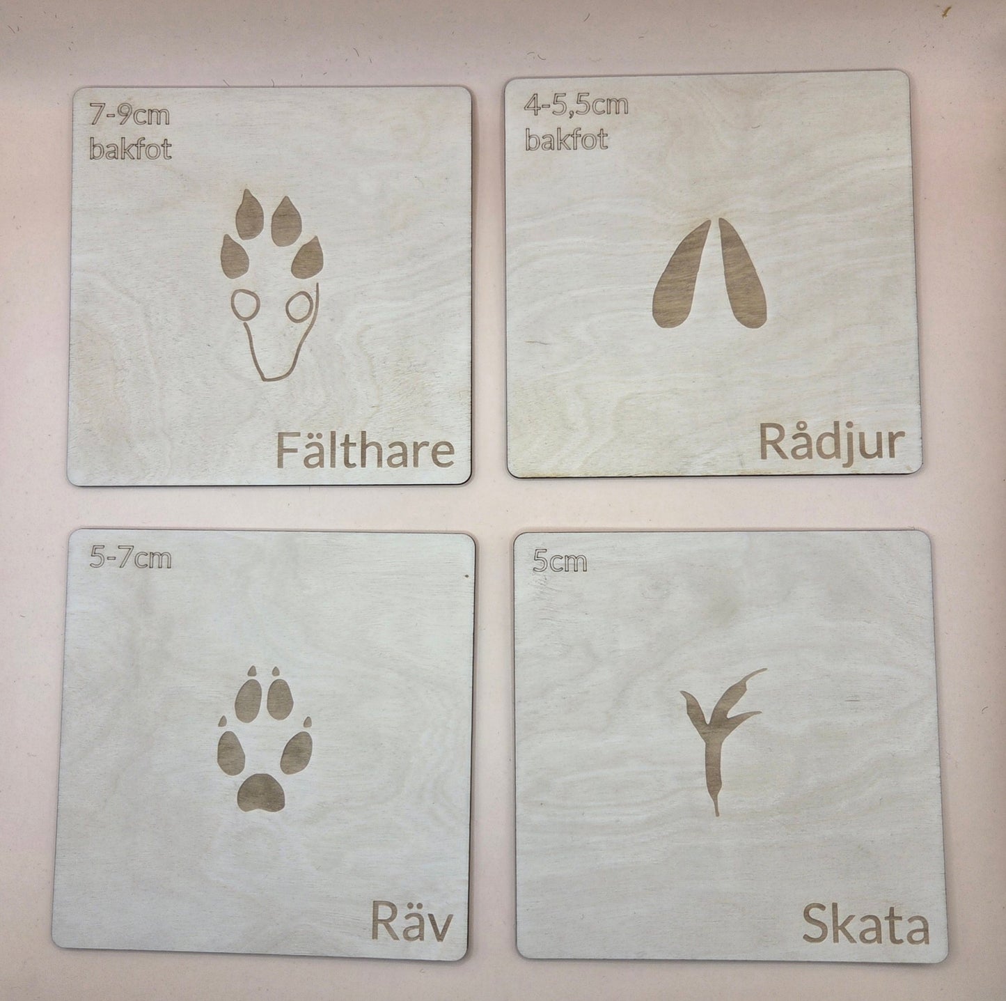 Woodland animal footprints - set 2 - Swedish - Wonder.Learn Sweden