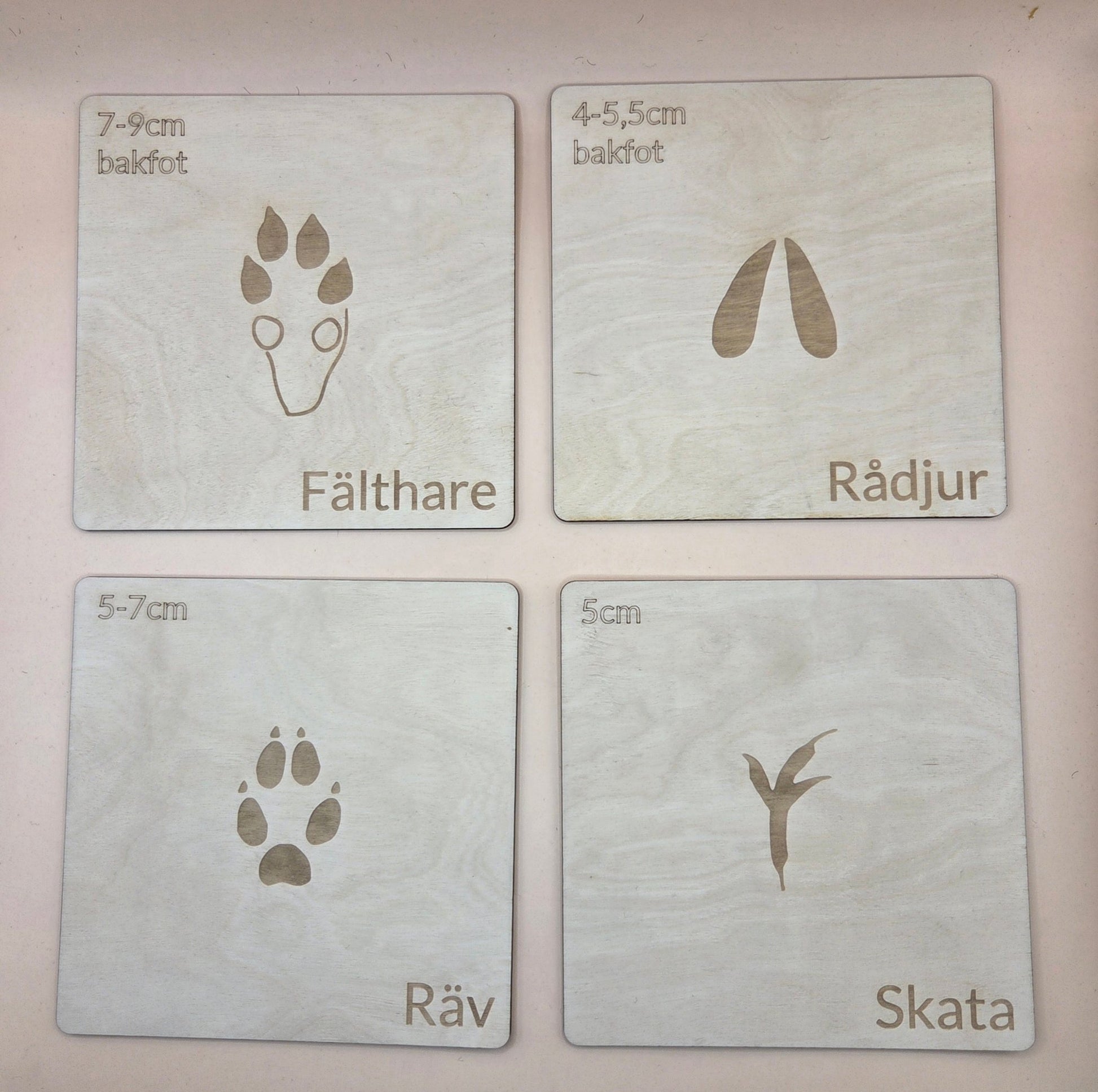 Woodland animal footprints - set 2 - Swedish - Wonder.Learn Sweden