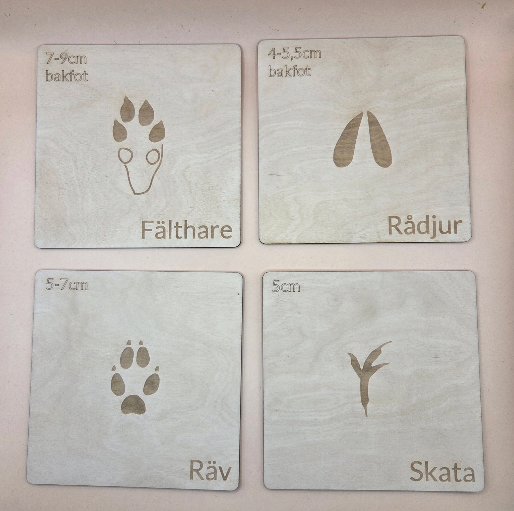 Woodland animal footprints - set 2 - Swedish - Wonder.Learn Sweden