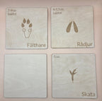 Woodland animal footprints - set 2 - Swedish - Wonder.Learn Sweden