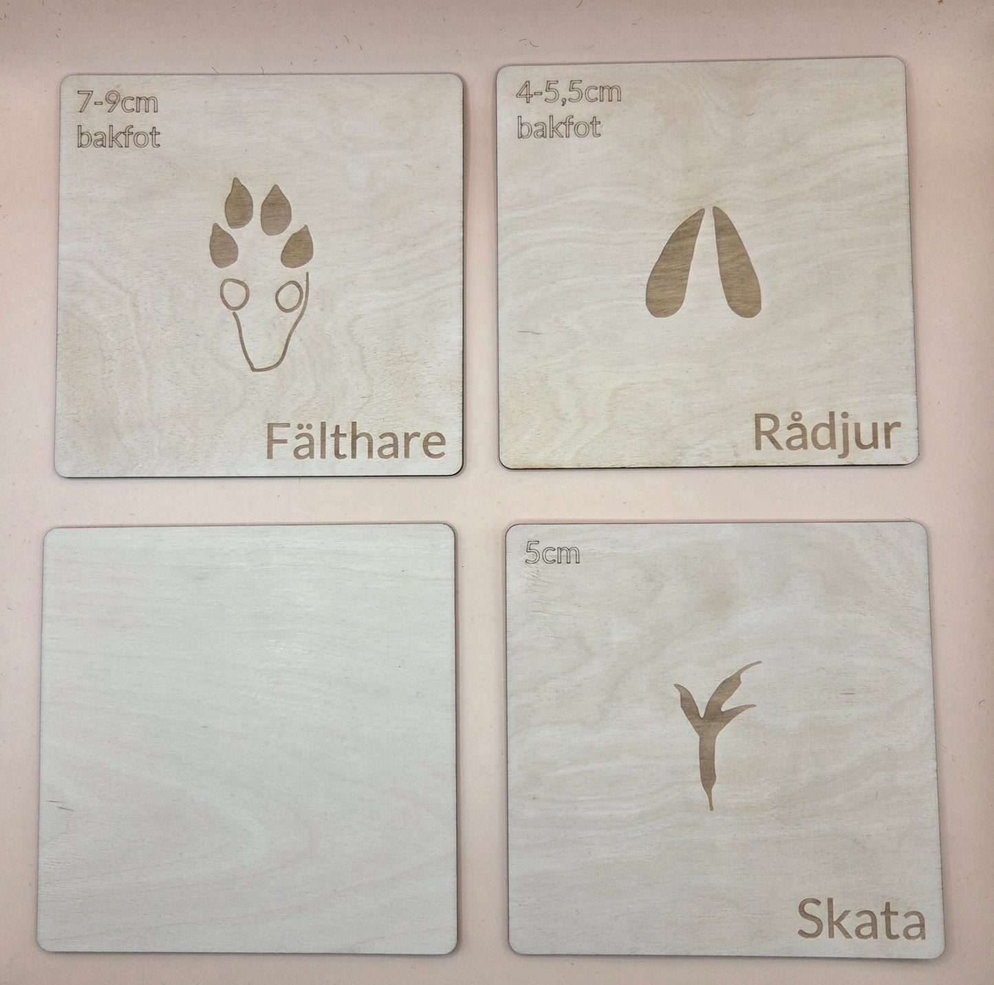 Woodland animal footprints - set 2 - Swedish - Wonder.Learn Sweden
