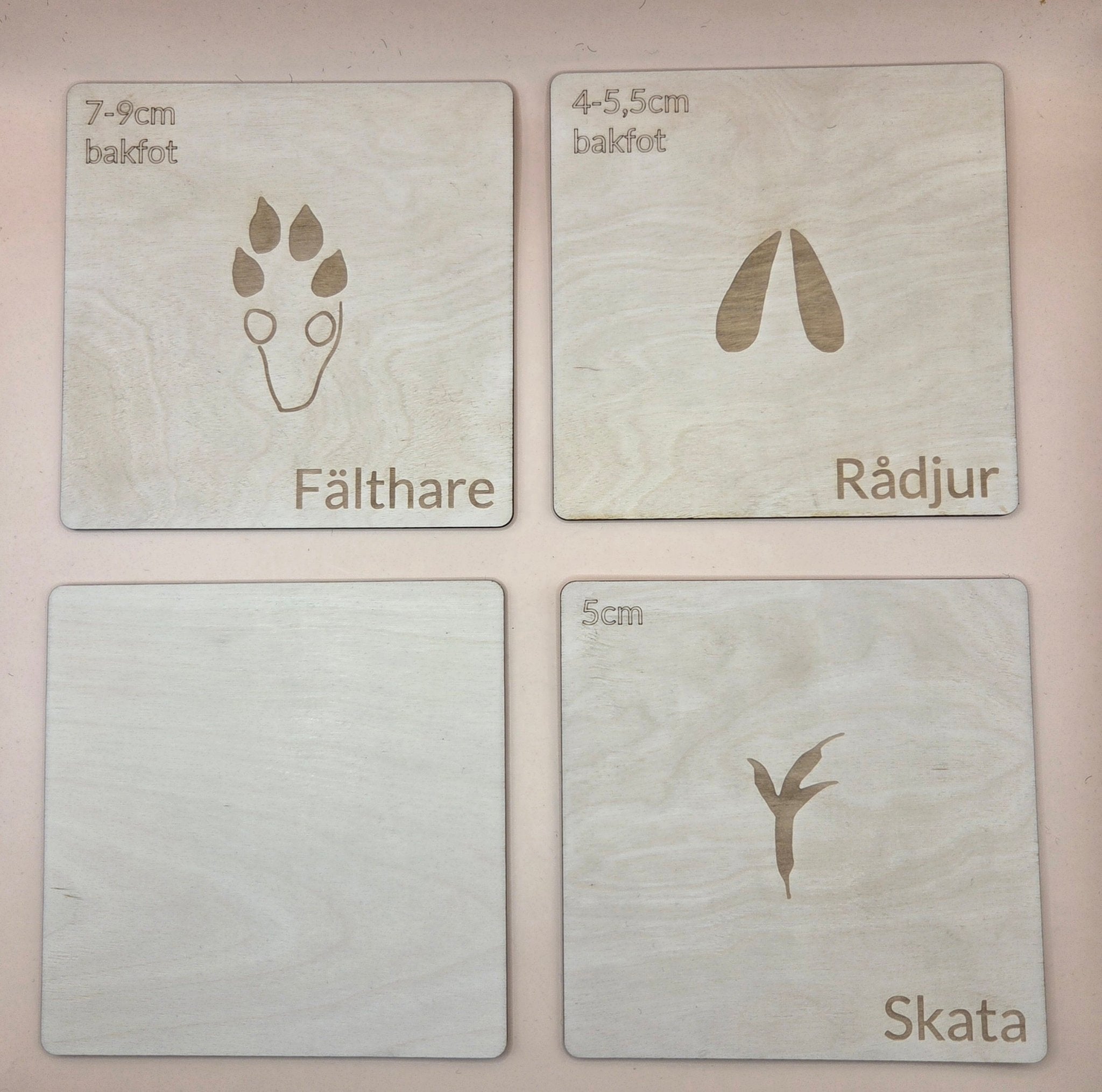Woodland animal footprints - set 2 - Swedish - Wonder.Learn Sweden
